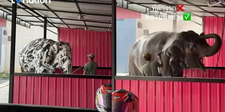 Thai car wash takes on jumbo orders