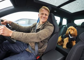 Barking up the right tree: Dogs prefer EVs for a smoother ride