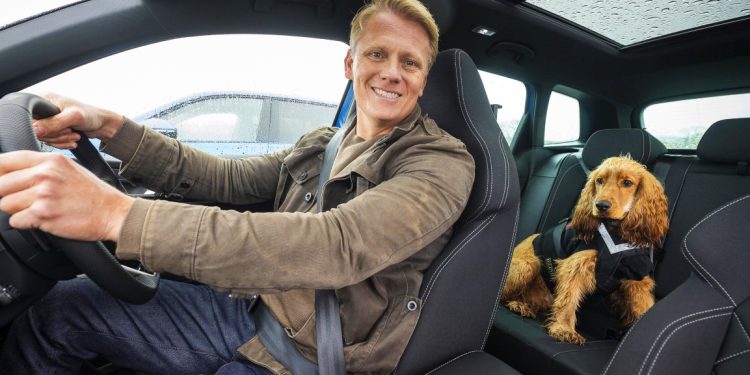 Barking up the right tree: Dogs prefer EVs for a smoother ride