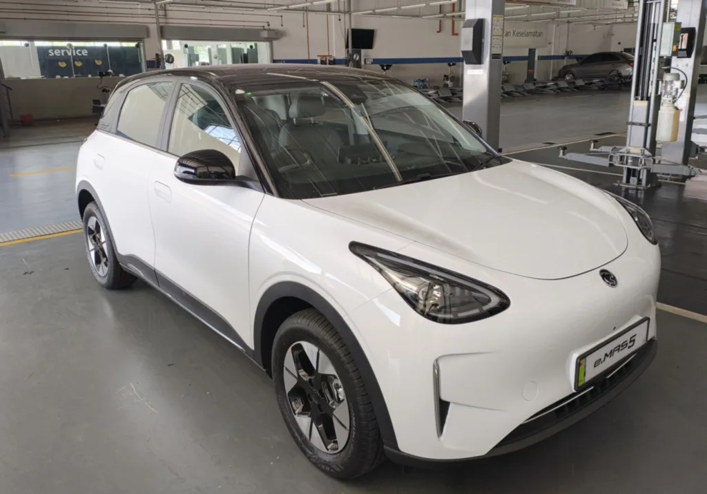 Proton emas5.