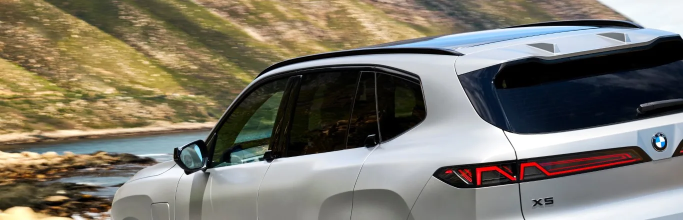 BMW Winglet door handles for all doors.